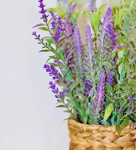 Apartamento Sweethome - Da Rocha *