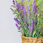 Appartamento Sweethome - Da Rocha *